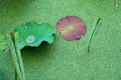 《纸嫁衣2奘铃村》跳票 5月6日正式发售